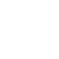 Acute Myeloid Leukaemia (AML)