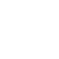 Bone Marrow Transplant