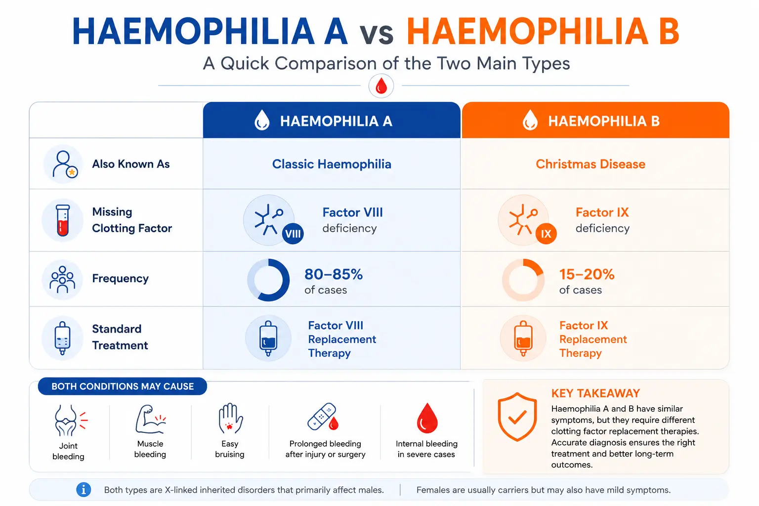 Haemophilia A vs Haemophilia B infographic comparing clotting factor deficiency, frequency, treatment, and common symptoms."