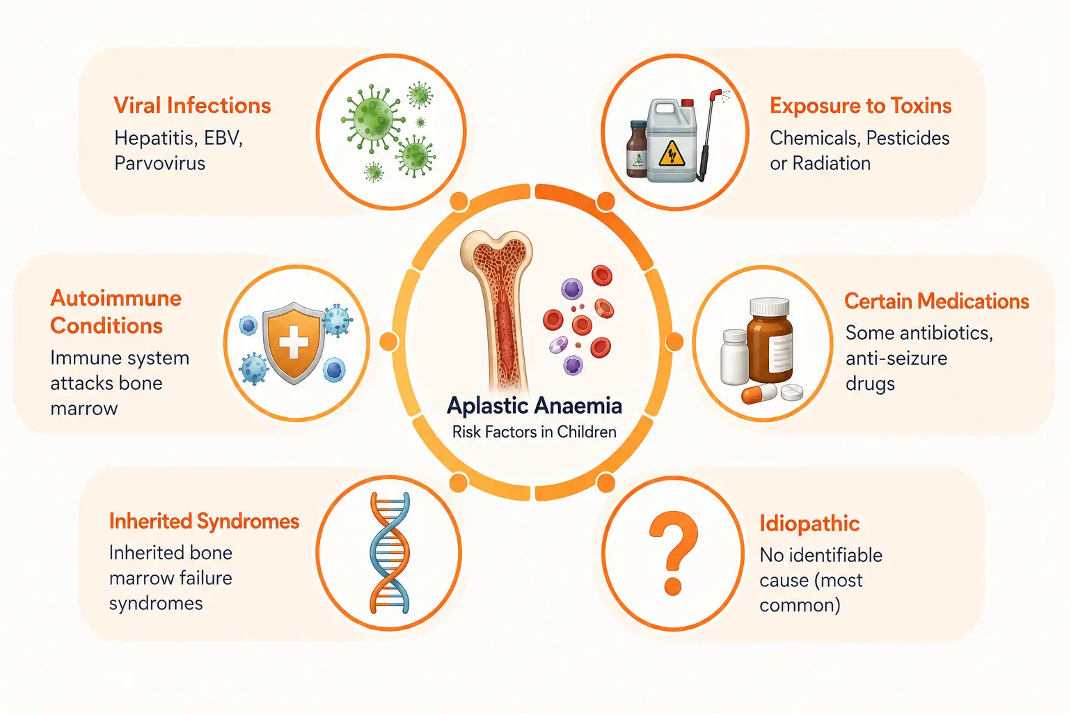 Infographic showing six risk factors for aplastic anaemia in children: viral infections, toxin exposure, autoimmune conditions, certain medications, inherited bone marrow failure syndromes, and idiopathic causes with no identifiable trigger
